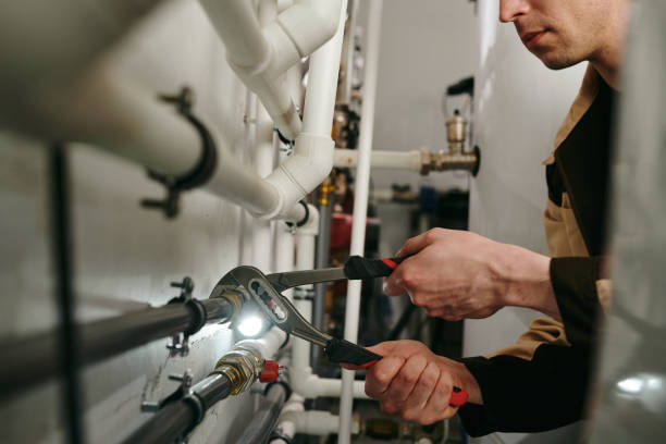 Best Plumbing Services Near Me  in Greenvle, IL