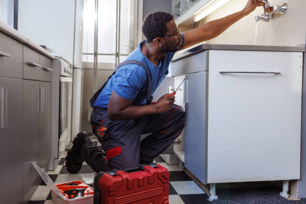 Best Same-Day Plumbing Service  in Greenvle, IL